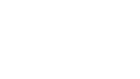 partner image